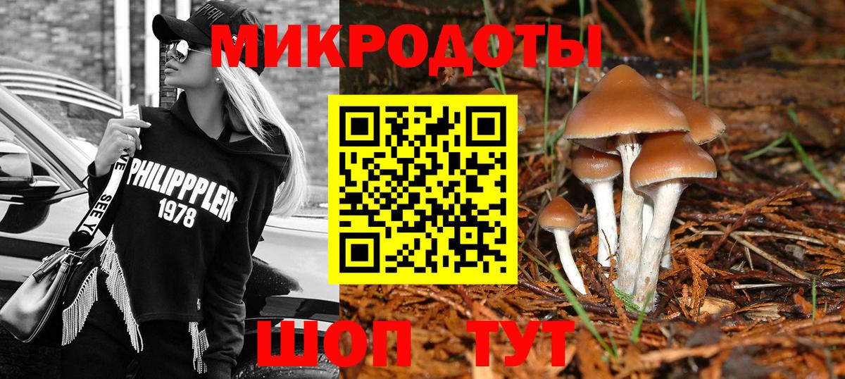 Псилоцибиновые грибы MAGIC MUSHROOMS Черногорск