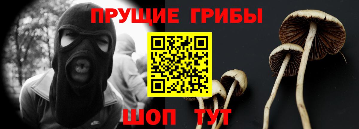 Псилоцибиновые грибы ЛСД  Галлюциногенные грибы мицелий  Черногорск  Вход с VPN 